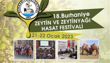 BURHANİYE ZEYTİN HASAT FESTİVALİNE GERİ SAYIM BAŞLADI BURHANİYE ZEYTİN HASAT FESTİVALİNE GERİ SAYIM BAŞLADI